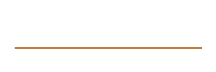 Servemize